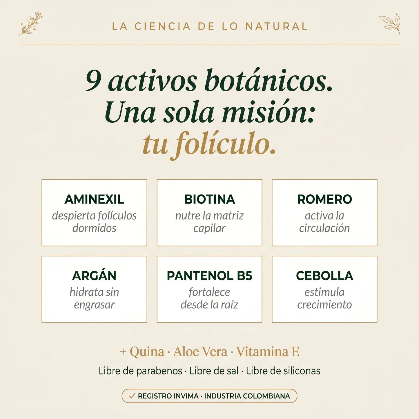 1. Shampoo Anticaida + Tratamiento
